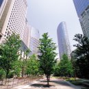 미적조경