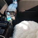 패밀리 카서비스 이미지