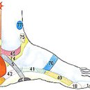 발바닥 통증(족저근막염),발뒤꿈치 각질등 관리법 이미지