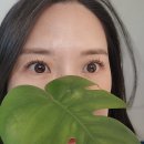 제주아를 이미지