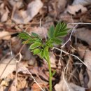 백선농장 이미지