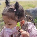 무지개숲어린이집 - 고양시 일산동구 | 무지개숲어린이집