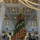 스피드 카써비스 | 베트남 나트랑 빈펄 나트랑 스파 &amp; 베이 리조트 내돈내산 방문 후기 Nha Trang Vinpearl SPA &amp; BAY Resort