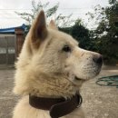 봉구방구