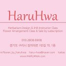 하루화