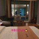 골든벨부동산공인중개사사무소 이미지