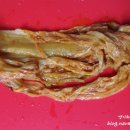 제이에스메디텍 이미지