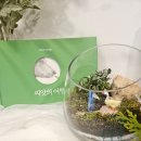 평생학습센터 색연필로 표현하는 나만의 그림여행 | 치유농업사가 선택한 그림책원예지도사 속성반 1차 기록 원예치료사 추천 프롬나드그림책원예