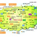 국제미용전문가협동조합