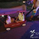 피콕빌리지 이미지