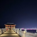 밤동산어린이공원 | 포항 영일대 해수욕장 전망대 스카이워크 주차장 환호공원 방문후기
