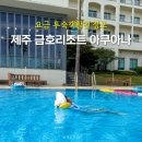(주)아모렉스리조트(가족호텔) | 제주 금호리조트 아쿠아나 요금 제주도 호텔 수영장