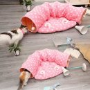 바우미우 이미지