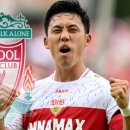 엔도메디칼 이미지