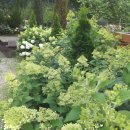 구곡농장 이미지