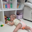 도겸목장 이미지