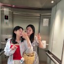 타이라오 이미지