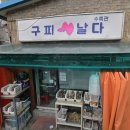 구피날다