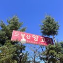 서울양고기 | 아이들과 즐기는 서울도심야장 도봉산양고기 솔직후기
