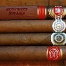 여송지성 이미지