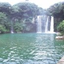 제주 서귀포 정방폭포 이미지