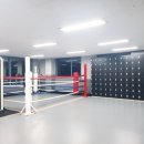 불스복싱 이미지