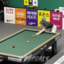 김보미 카카오 검색결과