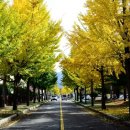 가음정사거리 이미지