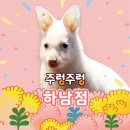 여우골짜기 달정원 | [경기/하남] 🐾주렁주렁 방문 후기/할인 정보 - 동물 친구들과 교감할 수 있는 실내 동물원!