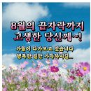 65세이상 만성질환의 원인 근육손실을 막아라 이미지