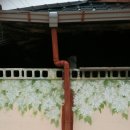 신당리 마을회관 이미지