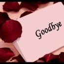 영어회화(기초) 이미지