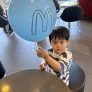 24시타이거배팅센터 이미지