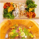 홍익농장 | 전북 순창 족욕카페 이색체험 가볼만한곳 치유카페 올레오(대전홍익관광여행사)