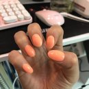 비더붐