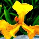 행복상점 이미지