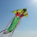 제37회 시장기타기 통영전통연날리기 및 민속놀이 경연대회 | < 정월 연날리기 - 전통 세시풍속 > 보기 : 송계산방 백인현미술관