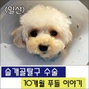 삼송사랑 동물의료센터 이미지