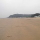 원산도해수욕장 Daum카페