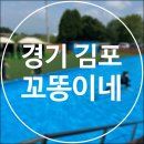 김포 애견호텔 애견유치원 꼬똥이네 | [경기/김포] 꼬똥이네 / 김포 수영장 방갈로 바베큐 애견카페 모두 즐기기