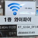 신촌 숲 동물병원 | 서울 한복판에 이런 곳이?🔥신촌 숲속한방랜드에서 즐기는 숯가마 신선놀음