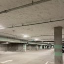 [미국남부] 애틀란타 가볼만한 곳 / 폰즈시티마켓 / PONCE CITY MARKET / 애착인형 젤리캣