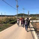 나들길 민박 이미지