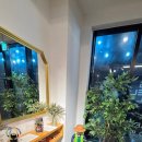 카페오일 이미지