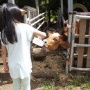 파란목장 이미지