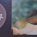 서울숲12 이미지