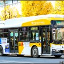 3460 | [광주광역시] 을로운수 진월 17번 (장등동 ⬌ 서광주역) (3460호)