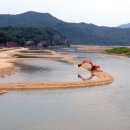 낙동강변5 이미지