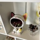 모모pc | 부천 옥길 일식 맛집 모모정식·붓카케우동 후기