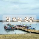 서산 삼길포항 &#39;회뜨는선상&#39; 가격, 시간, 후기 등